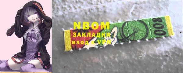 прущие грибы Аркадак