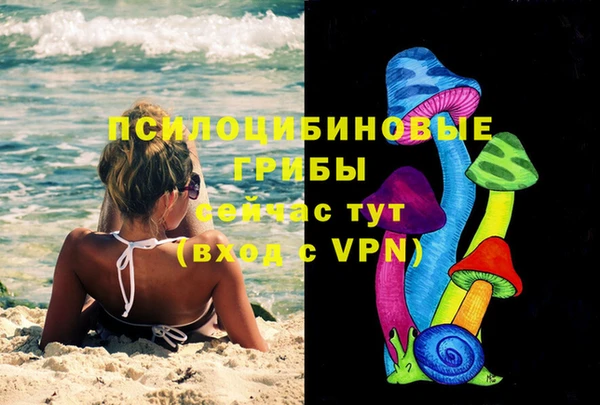 прущие грибы Аркадак