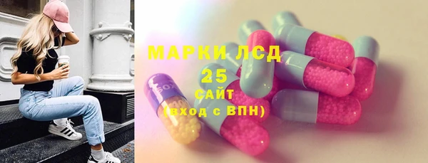 прущие грибы Аркадак