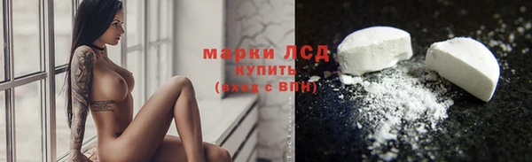 прущие грибы Аркадак