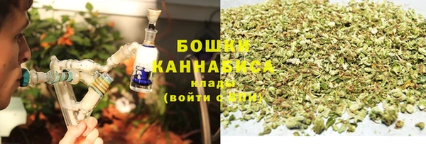 прущие грибы Аркадак