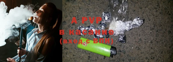 прущие грибы Аркадак