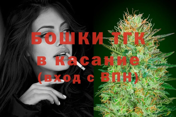 прущие грибы Аркадак