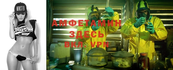 прущие грибы Аркадак